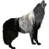 Wolf Moon