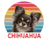 Chihuahua Mama Mum chiens mignons