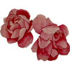 Peonies