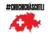 Schweiz Flagge