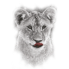 Lion's head