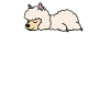 Llama