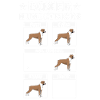 Boxer Hundetricks Hund