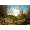 Dune idyll