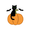 Cat on pumpkin
