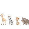 Animals