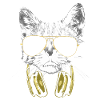 Dj Cat Bling Bling