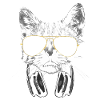 Dj Cat White