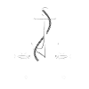 Anchor captain