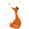 Fox in the night