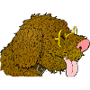 Lagotto Romagnolo dog wuschel