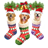 Christmas Dogs