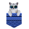 cat in a pocket
