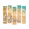 Seashells on the beach