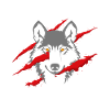 Lonely wolf