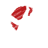 Judowurf Kämpfe für deinen Verein
