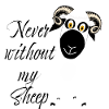 never without my sheep