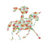 Pony pilot