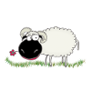 Walliser black-nosed sheep