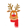 RENNE DE NOËL