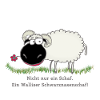 Schwarznasenschaf