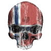 Norway skull