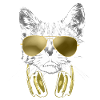 Dj Cat Bling