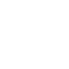 BUS DRIVER
