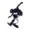 Skateboard skater