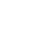 Golden eagle, white, silhouette