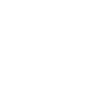 Ken Block RTR