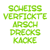 scheiss, verfickte, Arschdreckskacke