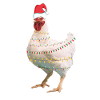 Chicken Christmas Christmas