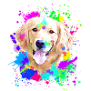 Golden Retriever Splash Art Hund