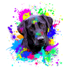Cute Black Labrador Dog