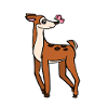 FAWN