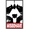 Racoon Misbehave