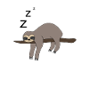 Sloth sleeping