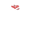 Schwarzwaldbub Bollenhut Berge herzschlag