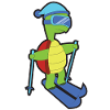 Ski Animal Turtle
