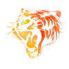 Cadeau de tigre
