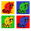 Cute raccoon