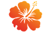 Hawaii vibes