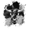 Stier