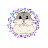 hamster