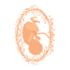 Doula bébé sage-femme enceinte obstétrique