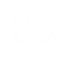 whale