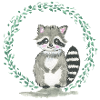 racoon