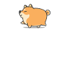 Shiba Inu