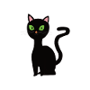 Black cat